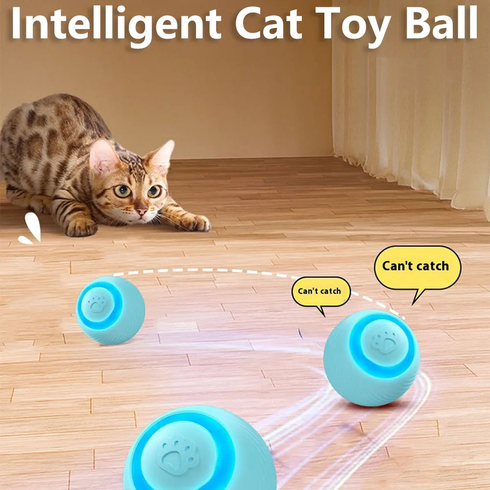 Cat Interactive Pet Toy Ball