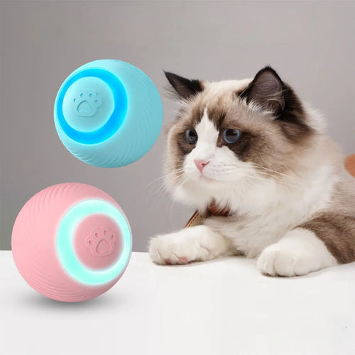 Cat Interactive Pet Toy Ball