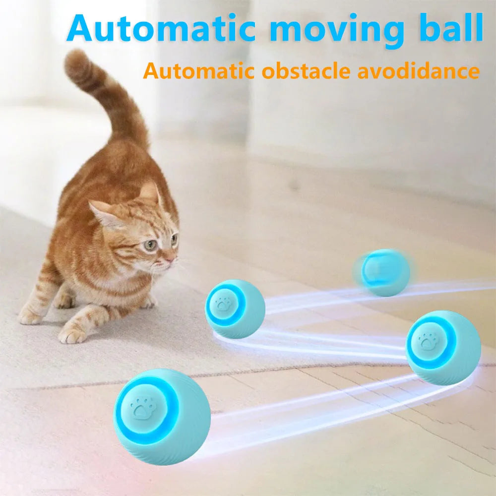Cat Interactive Pet Toy Ball