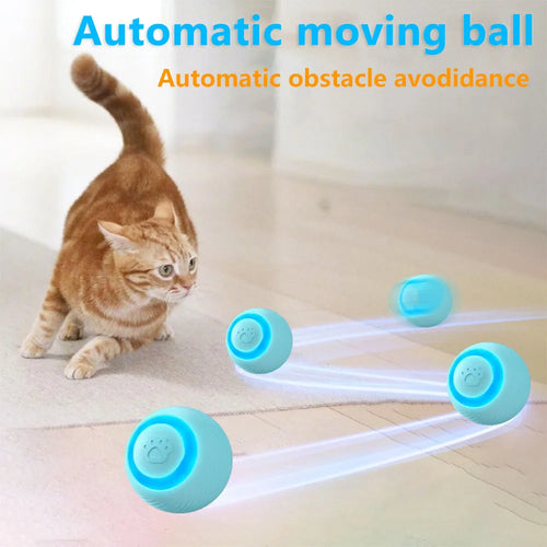 Cat Interactive Pet Toy Ball