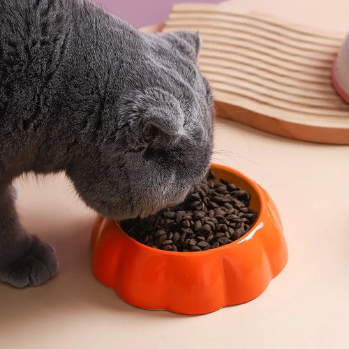 Cute designs pet ceramics bowl